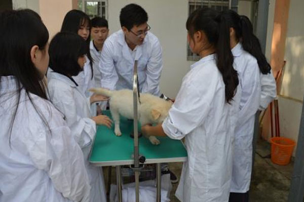 黔南民族职业技术学院畜牧兽医专业