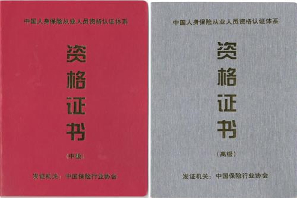 中国人身保险从业人员资格考试资格分类和资格证书
