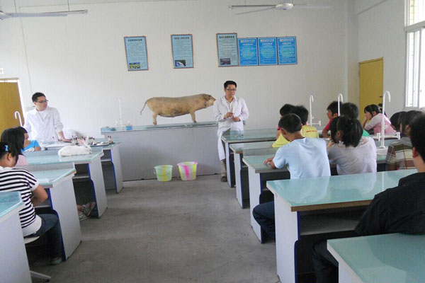 宜宾县柳加职业中学校畜牧兽医专业